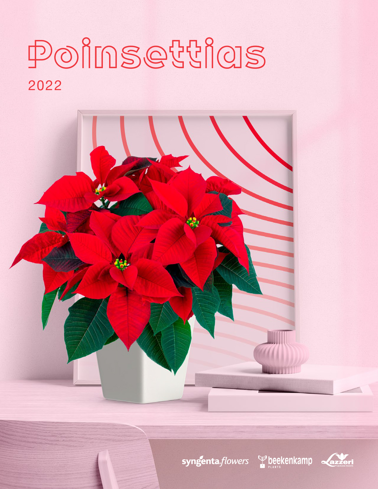 Poinsettias Express Seed Company